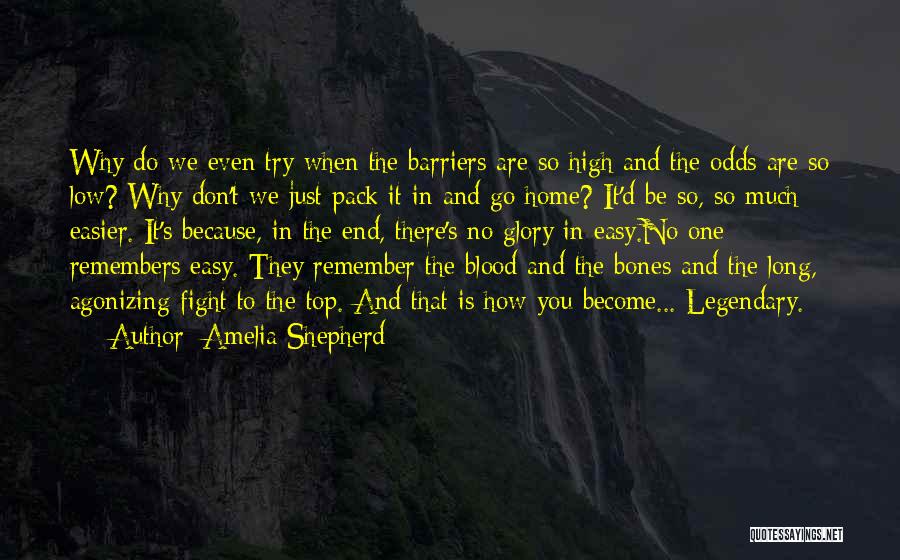 Amelia Shepherd Quotes: Why Do We Even Try When The Barriers Are So High And The Odds Are So Low? Why Don't We