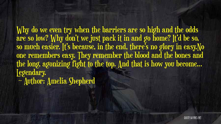 Amelia Shepherd Quotes: Why Do We Even Try When The Barriers Are So High And The Odds Are So Low? Why Don't We