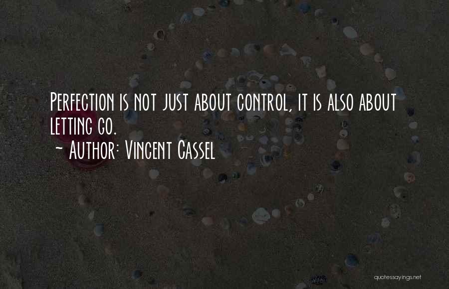 Vincent Cassel Quotes: Perfection Is Not Just About Control, It Is Also About Letting Go.