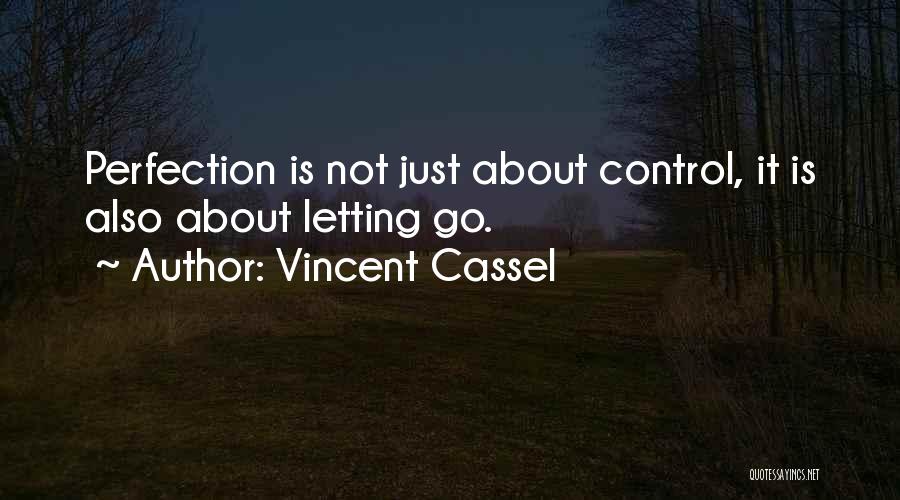 Vincent Cassel Quotes: Perfection Is Not Just About Control, It Is Also About Letting Go.