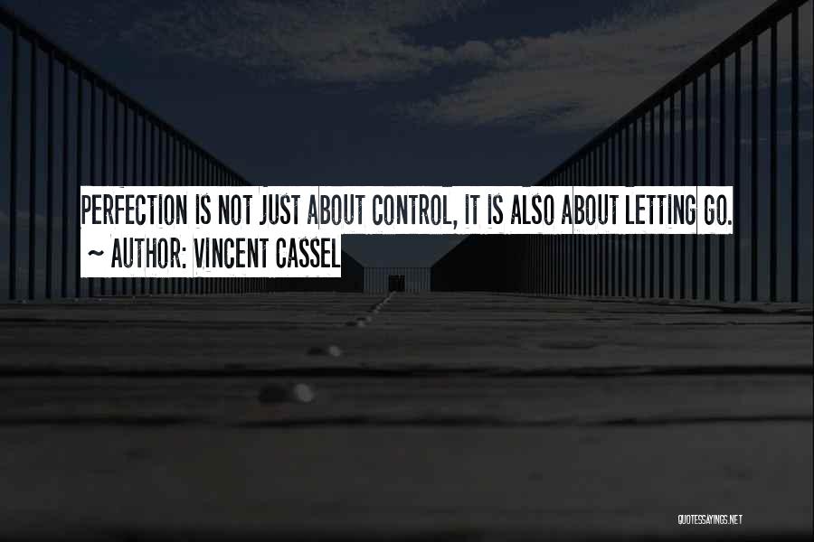 Vincent Cassel Quotes: Perfection Is Not Just About Control, It Is Also About Letting Go.