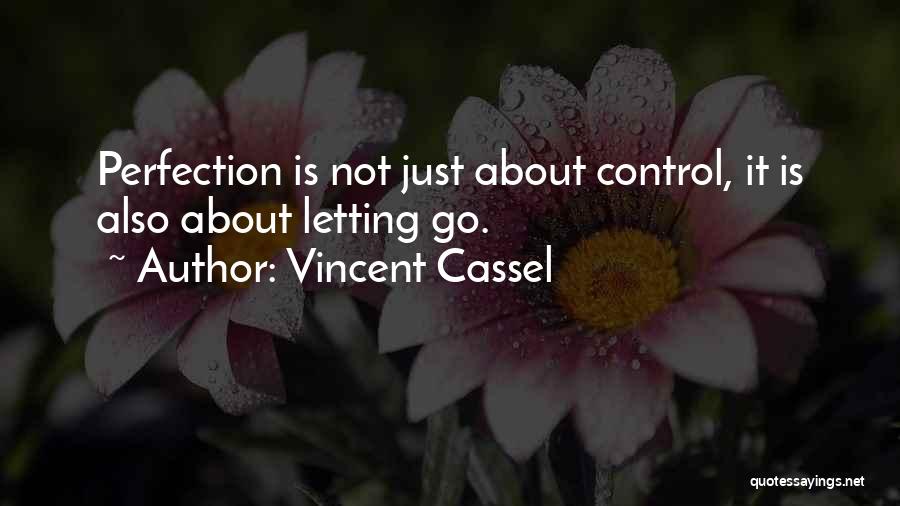 Vincent Cassel Quotes: Perfection Is Not Just About Control, It Is Also About Letting Go.