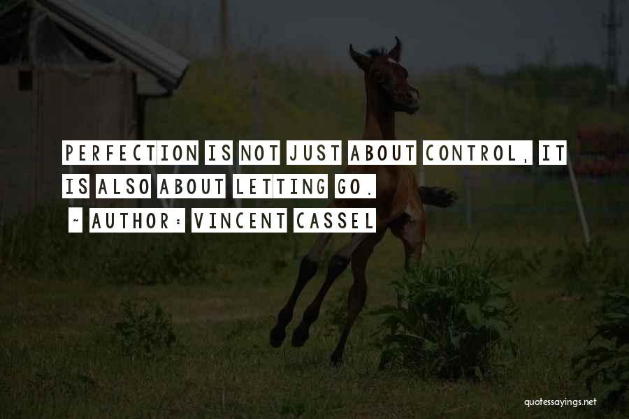 Vincent Cassel Quotes: Perfection Is Not Just About Control, It Is Also About Letting Go.