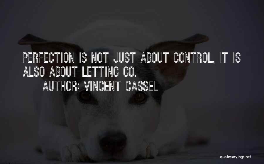 Vincent Cassel Quotes: Perfection Is Not Just About Control, It Is Also About Letting Go.