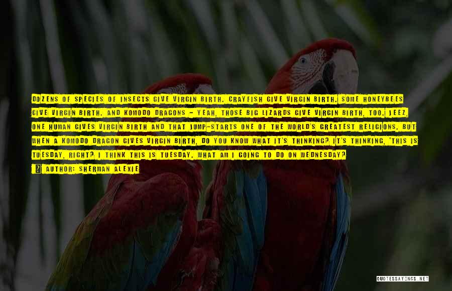 Sherman Alexie Quotes: Dozens Of Species Of Insects Give Virgin Birth. Crayfish Give Virgin Birth. Some Honeybees Give Virgin Birth. And Komodo Dragons