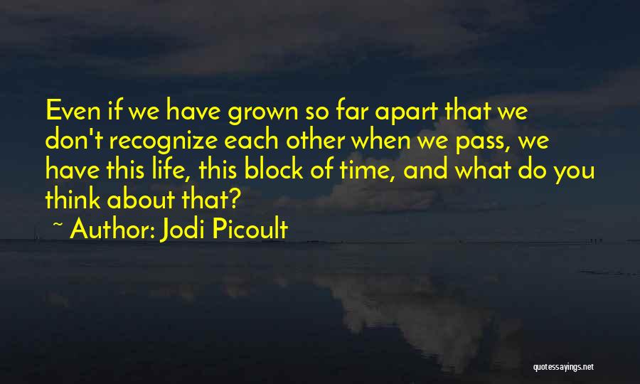 Jodi Picoult Quotes: Even If We Have Grown So Far Apart That We Don't Recognize Each Other When We Pass, We Have This