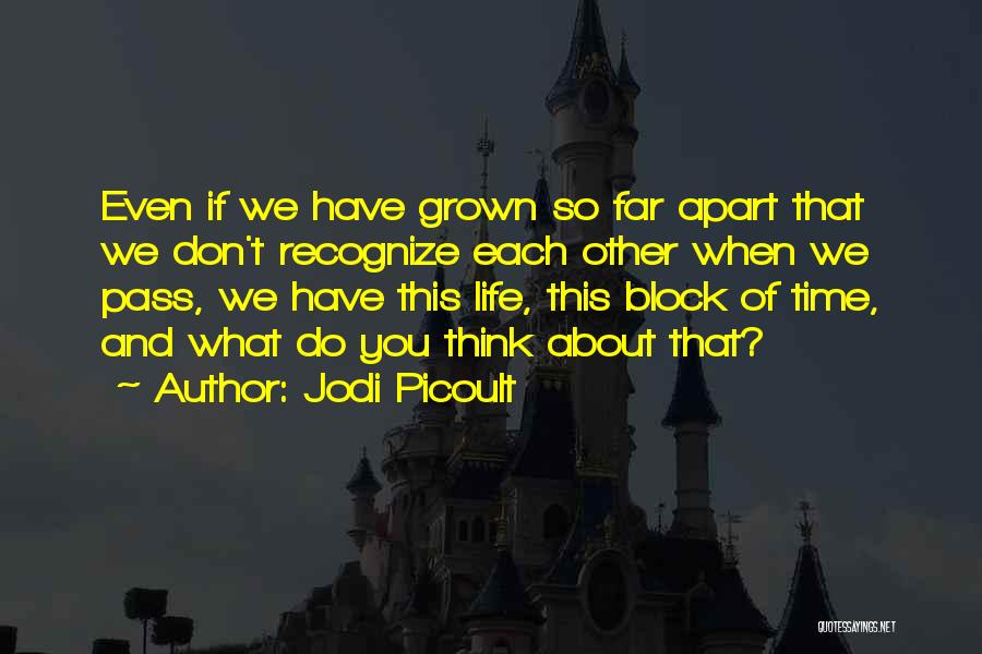 Jodi Picoult Quotes: Even If We Have Grown So Far Apart That We Don't Recognize Each Other When We Pass, We Have This