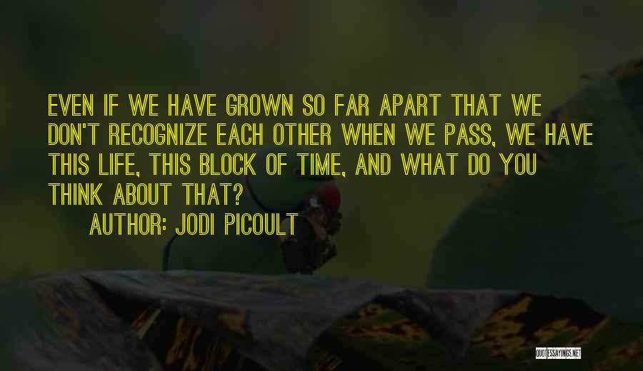 Jodi Picoult Quotes: Even If We Have Grown So Far Apart That We Don't Recognize Each Other When We Pass, We Have This