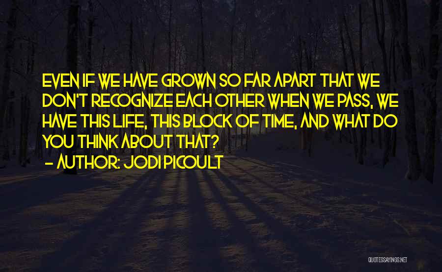 Jodi Picoult Quotes: Even If We Have Grown So Far Apart That We Don't Recognize Each Other When We Pass, We Have This