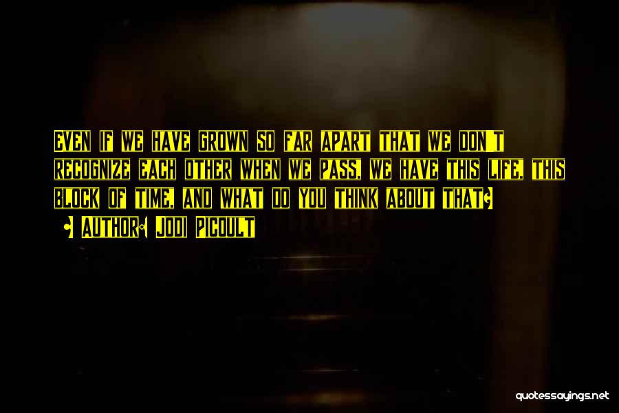 Jodi Picoult Quotes: Even If We Have Grown So Far Apart That We Don't Recognize Each Other When We Pass, We Have This
