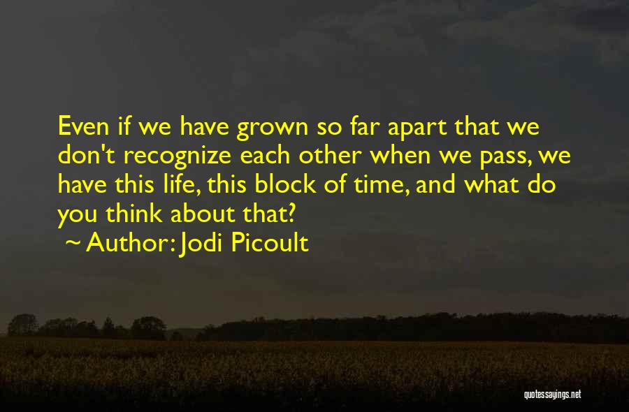 Jodi Picoult Quotes: Even If We Have Grown So Far Apart That We Don't Recognize Each Other When We Pass, We Have This