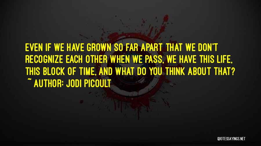 Jodi Picoult Quotes: Even If We Have Grown So Far Apart That We Don't Recognize Each Other When We Pass, We Have This