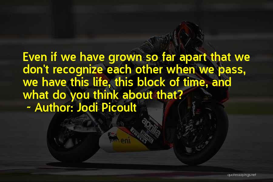 Jodi Picoult Quotes: Even If We Have Grown So Far Apart That We Don't Recognize Each Other When We Pass, We Have This