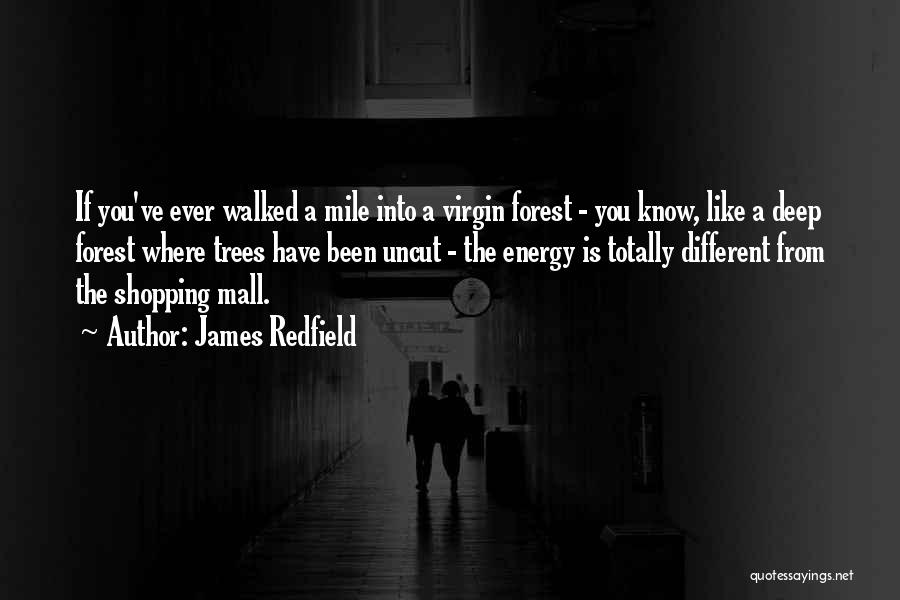 James Redfield Quotes: If You've Ever Walked A Mile Into A Virgin Forest - You Know, Like A Deep Forest Where Trees Have