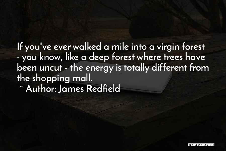 James Redfield Quotes: If You've Ever Walked A Mile Into A Virgin Forest - You Know, Like A Deep Forest Where Trees Have
