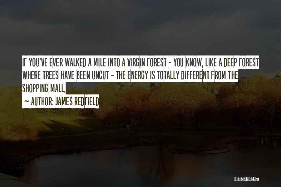 James Redfield Quotes: If You've Ever Walked A Mile Into A Virgin Forest - You Know, Like A Deep Forest Where Trees Have