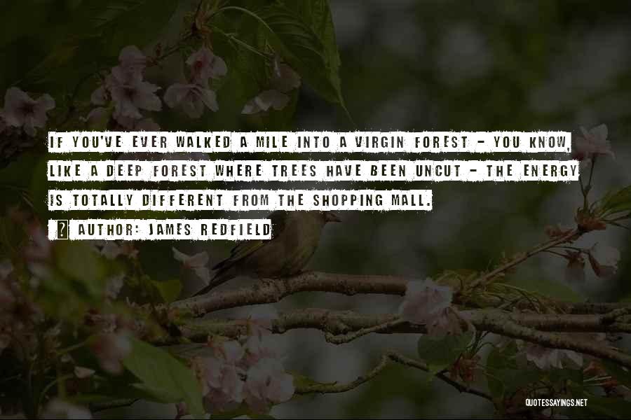 James Redfield Quotes: If You've Ever Walked A Mile Into A Virgin Forest - You Know, Like A Deep Forest Where Trees Have