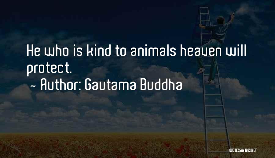 Gautama Buddha Quotes: He Who Is Kind To Animals Heaven Will Protect.