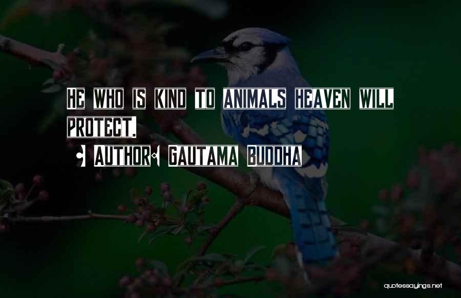 Gautama Buddha Quotes: He Who Is Kind To Animals Heaven Will Protect.