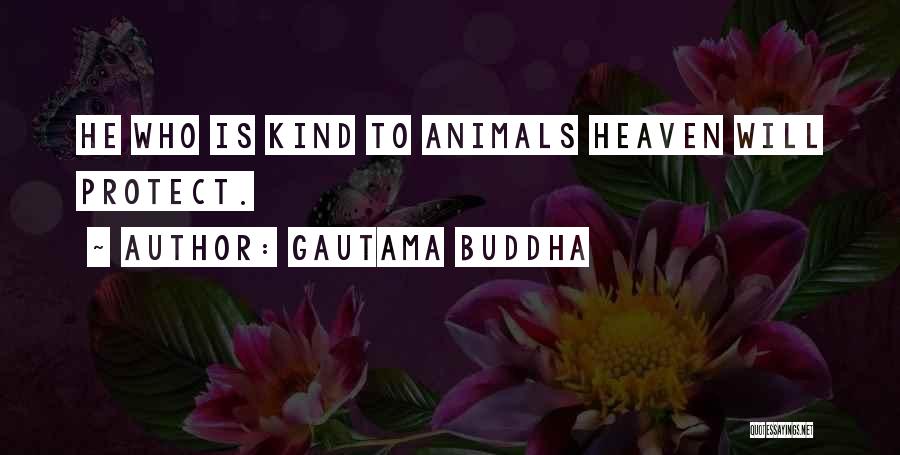 Gautama Buddha Quotes: He Who Is Kind To Animals Heaven Will Protect.