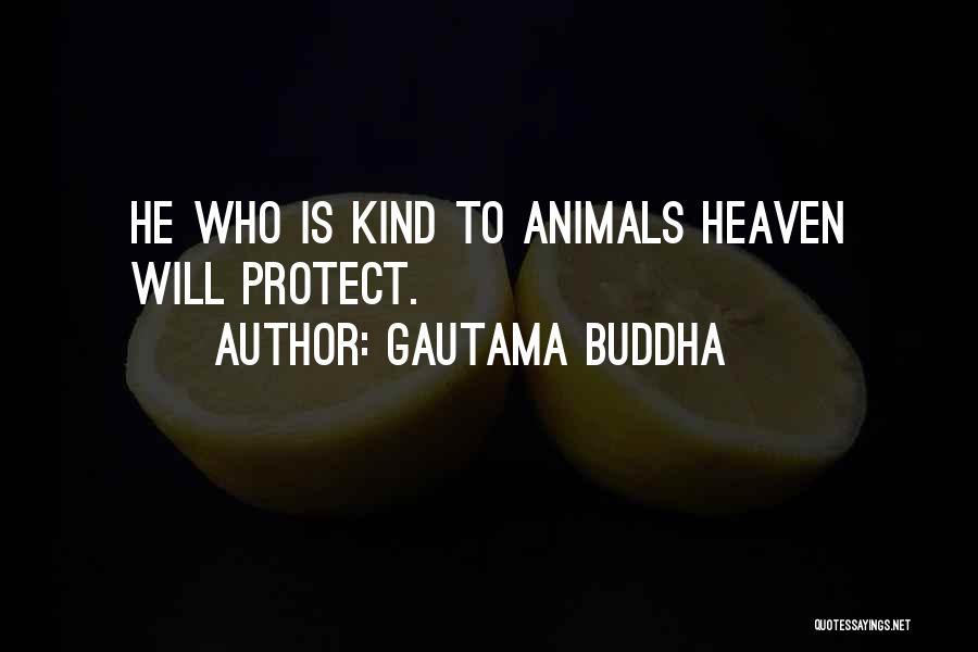 Gautama Buddha Quotes: He Who Is Kind To Animals Heaven Will Protect.
