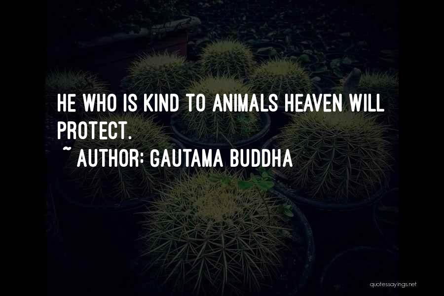 Gautama Buddha Quotes: He Who Is Kind To Animals Heaven Will Protect.