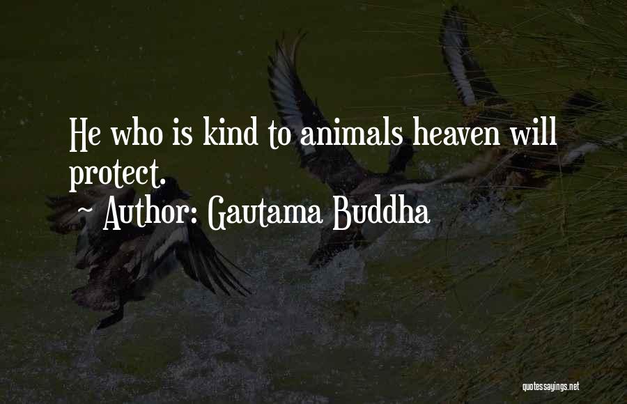 Gautama Buddha Quotes: He Who Is Kind To Animals Heaven Will Protect.