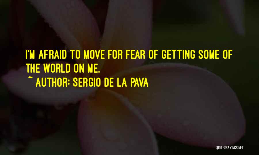 Sergio De La Pava Quotes: I'm Afraid To Move For Fear Of Getting Some Of The World On Me.