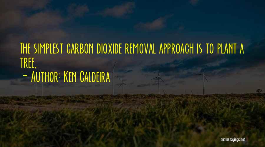 Ken Caldeira Quotes: The Simplest Carbon Dioxide Removal Approach Is To Plant A Tree,