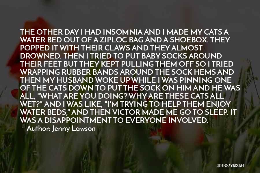 Jenny Lawson Quotes: The Other Day I Had Insomnia And I Made My Cats A Water Bed Out Of A Ziploc Bag And