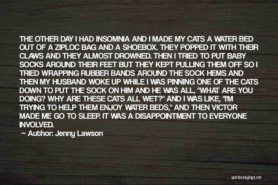 Jenny Lawson Quotes: The Other Day I Had Insomnia And I Made My Cats A Water Bed Out Of A Ziploc Bag And