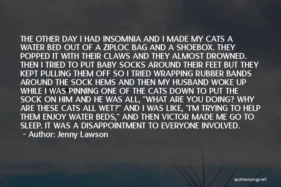 Jenny Lawson Quotes: The Other Day I Had Insomnia And I Made My Cats A Water Bed Out Of A Ziploc Bag And