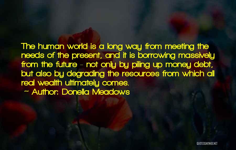 Donella Meadows Quotes: The Human World Is A Long Way From Meeting The Needs Of The Present, And It Is Borrowing Massively From