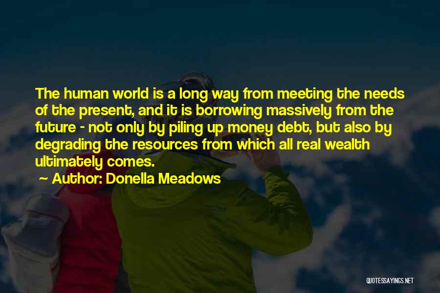 Donella Meadows Quotes: The Human World Is A Long Way From Meeting The Needs Of The Present, And It Is Borrowing Massively From