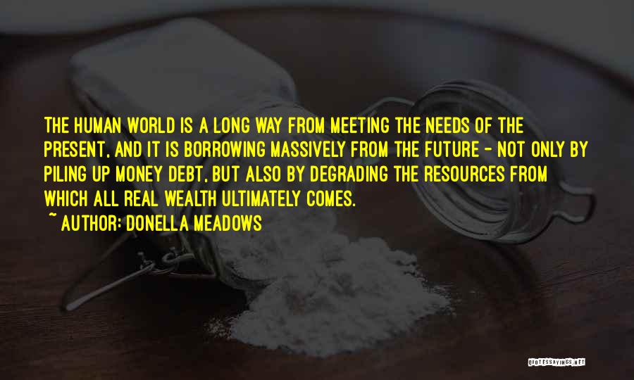 Donella Meadows Quotes: The Human World Is A Long Way From Meeting The Needs Of The Present, And It Is Borrowing Massively From
