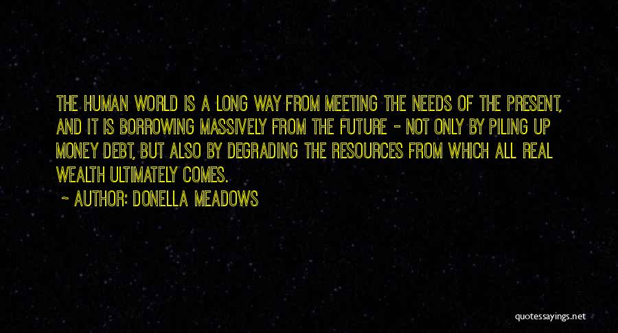 Donella Meadows Quotes: The Human World Is A Long Way From Meeting The Needs Of The Present, And It Is Borrowing Massively From