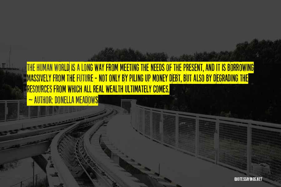 Donella Meadows Quotes: The Human World Is A Long Way From Meeting The Needs Of The Present, And It Is Borrowing Massively From