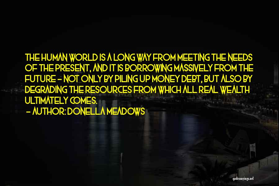 Donella Meadows Quotes: The Human World Is A Long Way From Meeting The Needs Of The Present, And It Is Borrowing Massively From