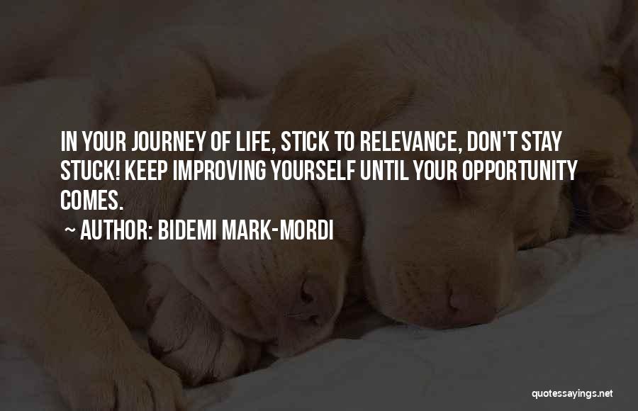 Bidemi Mark-Mordi Quotes: In Your Journey Of Life, Stick To Relevance, Don't Stay Stuck! Keep Improving Yourself Until Your Opportunity Comes.