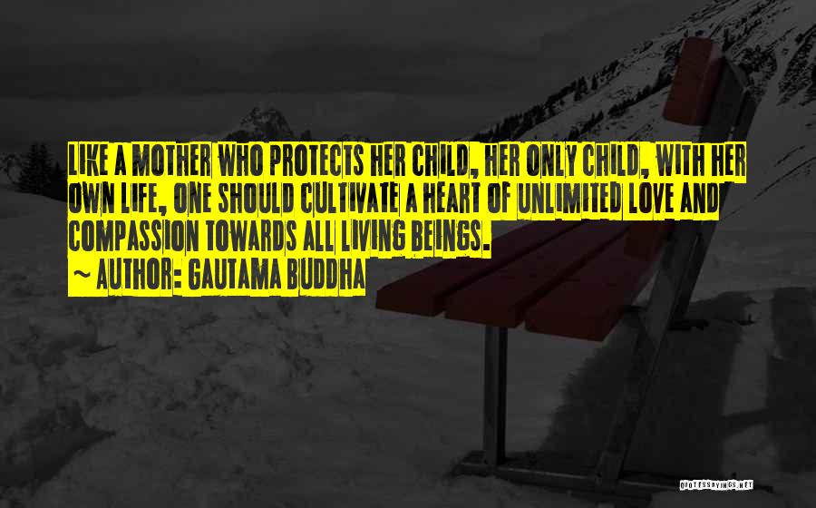 Gautama Buddha Quotes: Like A Mother Who Protects Her Child, Her Only Child, With Her Own Life, One Should Cultivate A Heart Of