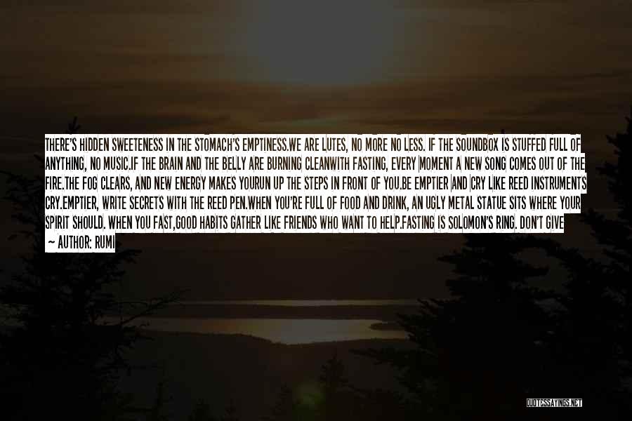 Rumi Quotes: There's Hidden Sweeteness In The Stomach's Emptiness.we Are Lutes, No More No Less. If The Soundbox Is Stuffed Full Of