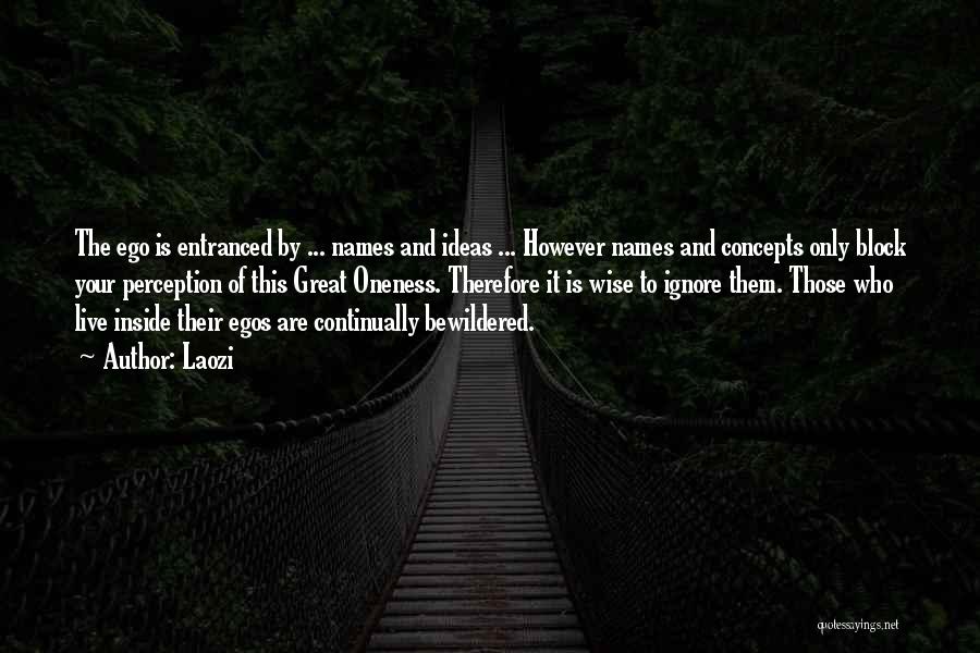 Laozi Quotes: The Ego Is Entranced By ... Names And Ideas ... However Names And Concepts Only Block Your Perception Of This