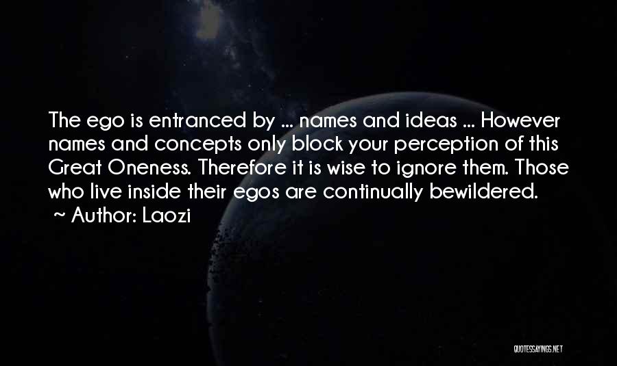 Laozi Quotes: The Ego Is Entranced By ... Names And Ideas ... However Names And Concepts Only Block Your Perception Of This