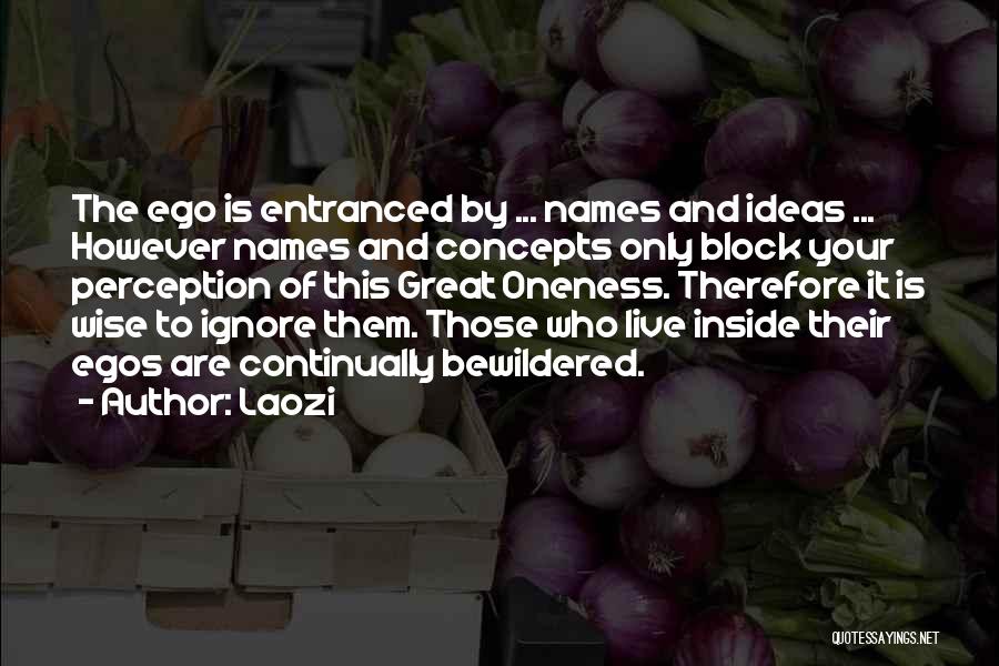 Laozi Quotes: The Ego Is Entranced By ... Names And Ideas ... However Names And Concepts Only Block Your Perception Of This