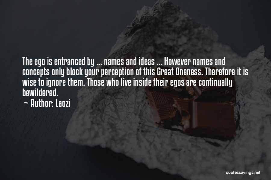 Laozi Quotes: The Ego Is Entranced By ... Names And Ideas ... However Names And Concepts Only Block Your Perception Of This
