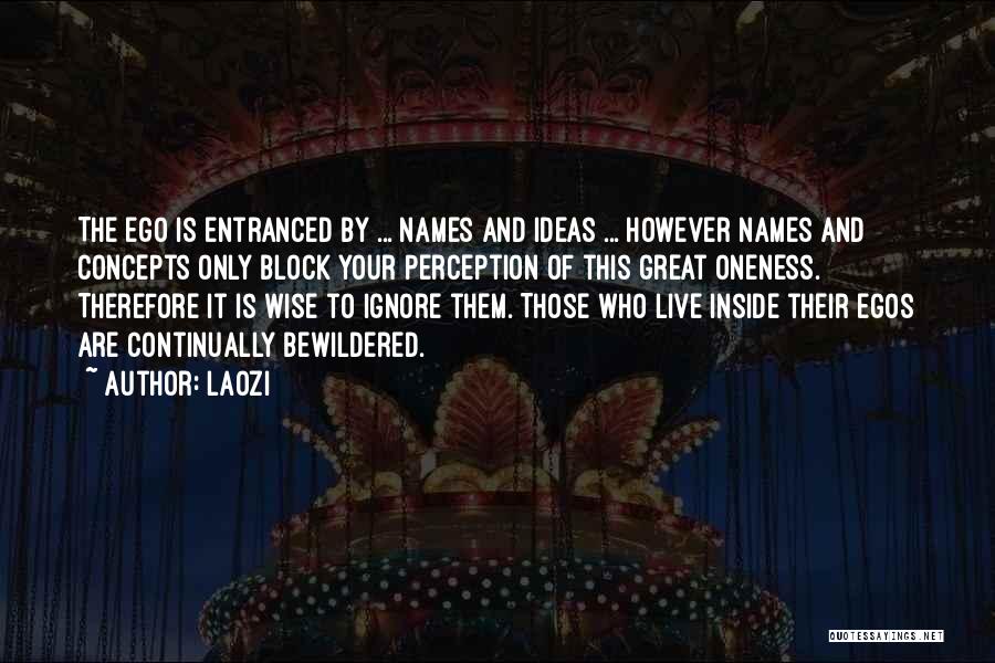 Laozi Quotes: The Ego Is Entranced By ... Names And Ideas ... However Names And Concepts Only Block Your Perception Of This