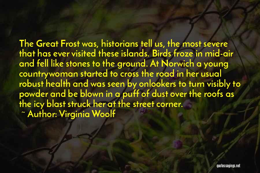 Virginia Woolf Quotes: The Great Frost Was, Historians Tell Us, The Most Severe That Has Ever Visited These Islands. Birds Froze In Mid-air