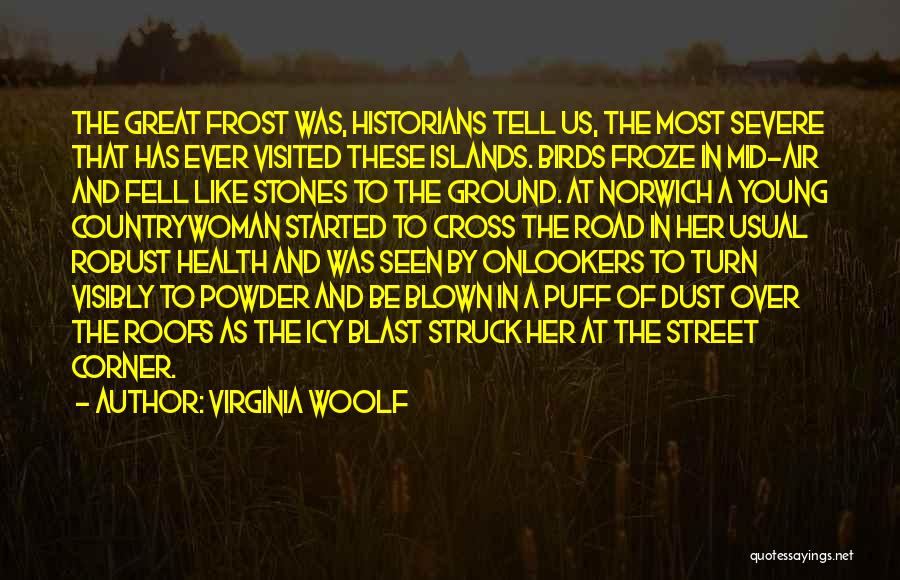 Virginia Woolf Quotes: The Great Frost Was, Historians Tell Us, The Most Severe That Has Ever Visited These Islands. Birds Froze In Mid-air