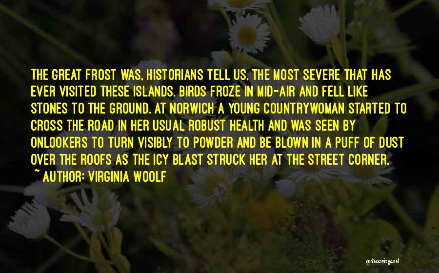 Virginia Woolf Quotes: The Great Frost Was, Historians Tell Us, The Most Severe That Has Ever Visited These Islands. Birds Froze In Mid-air