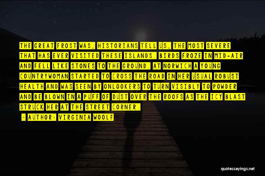 Virginia Woolf Quotes: The Great Frost Was, Historians Tell Us, The Most Severe That Has Ever Visited These Islands. Birds Froze In Mid-air